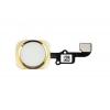 Καλώδιο Flex Home button και fingerprint για iPhone 6 plus, Gold | Service | elabstore.gr