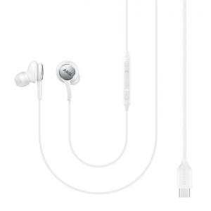 SAMSUNG Earphones EO-IC100, Type-C, mic, 94db, 1.2m, λευκά | Αξεσουάρ κινητών | elabstore.gr