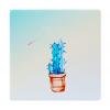 Καθρεφτάκι τσάντας Blue cactus TMV-0007-10, 2x & 4x zoom, 8x8cm | eLabstore.gr Καθρεφτάκι τσάντας Blue cactus TMV-0007-10, 2x & 4x zoom, 8x8cm | Οικιακές & Προσωπικές Συσκευές | elabstore.gr