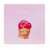 Καθρεφτάκι τσάντας Pink cactus TMV-0007-9, 2x & 4x zoom, 8x8cm | Οικιακές & Προσωπικές Συσκευές | elabstore.gr