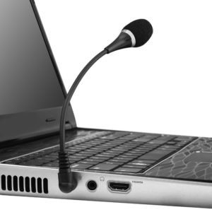 POWERTECH εύκαμπτο μικρόφωνο CAB-J042, 3.5mm, μαύρο | Συνοδευτικά PC | elabstore.gr