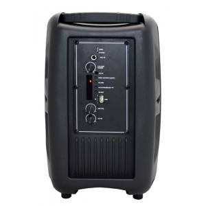 VOICE KRAFT Φορητό ηχείο VK8100, 8" Woofer, 20W RMS, LED, FM/USB/SD/BT | Εικόνα & Ήχος | elabstore.gr