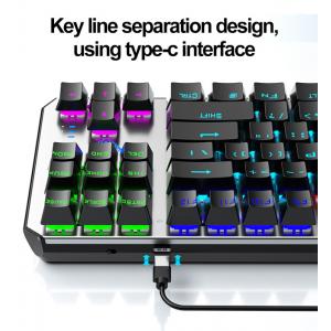 AULA μηχανικό πληκτρολόγιο F2067, RGB, blue switch, 87 πλήκτρα, ασημί | Συνοδευτικά PC | elabstore.gr