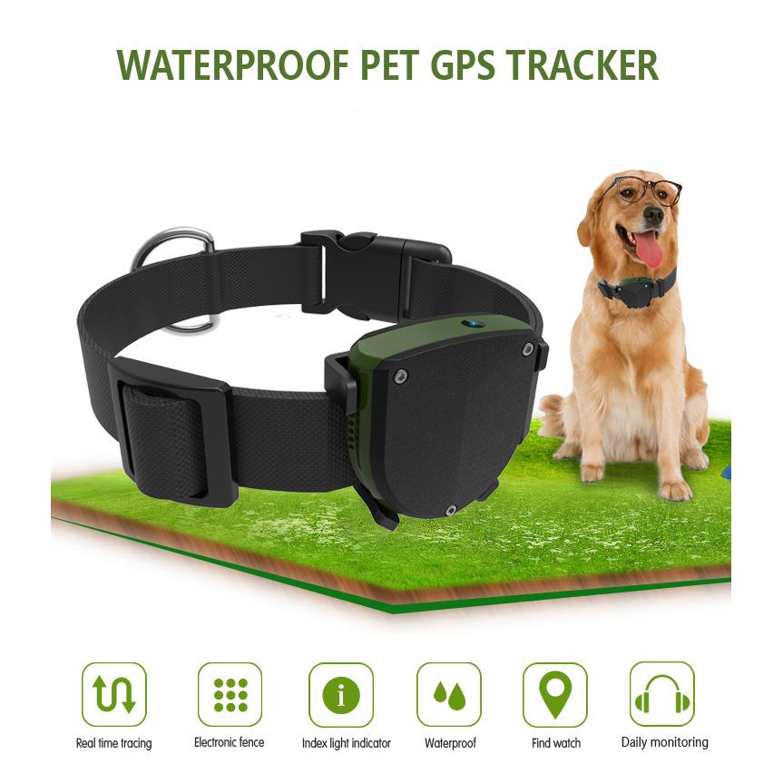 INTIME GPS tracker με κολάρο για κατοικίδια IT-043, IP67 | eLabstore.gr INTIME GPS tracker με κολάρο για κατοικίδια IT-043, IP67 | Οικιακές & Προσωπικές Συσκευές | elabstore.gr