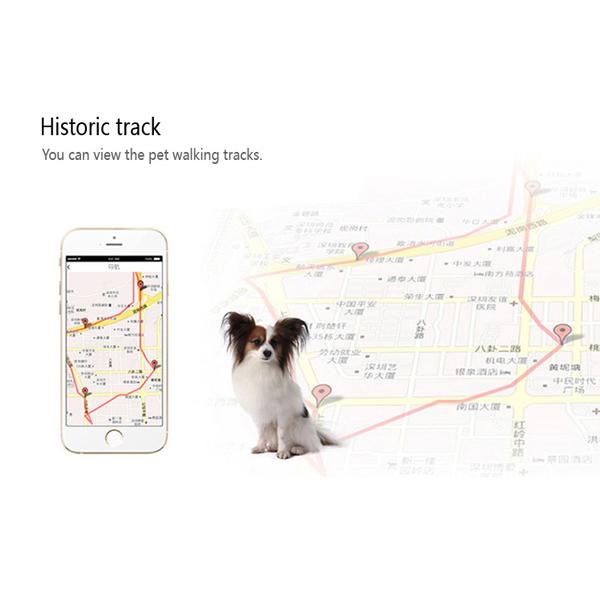 INTIME GPS tracker με κολάρο για κατοικίδια IT-043, IP67 | eLabstore.gr INTIME GPS tracker με κολάρο για κατοικίδια IT-043, IP67 | Οικιακές & Προσωπικές Συσκευές | elabstore.gr