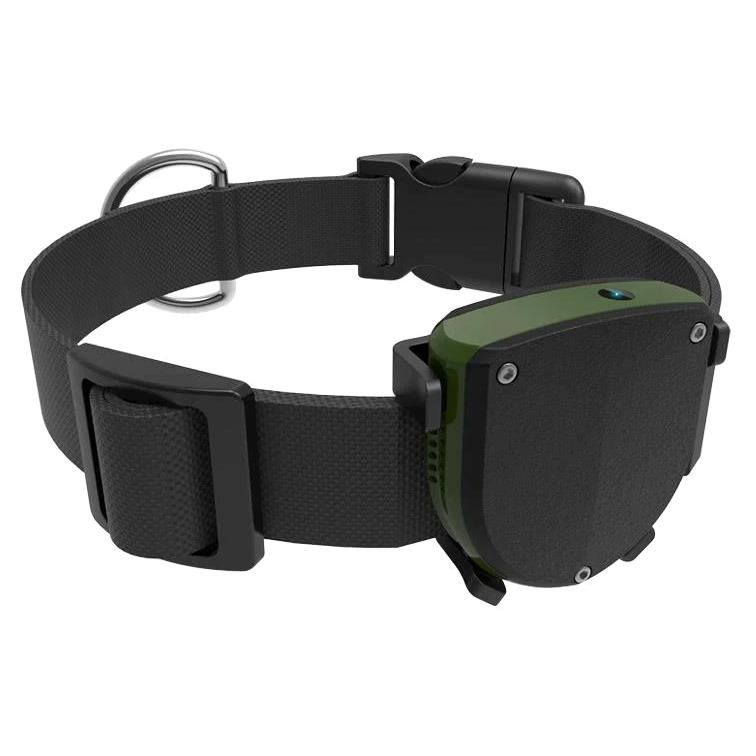 INTIME GPS tracker με κολάρο για κατοικίδια IT-043, IP67 | eLabstore.gr INTIME GPS tracker με κολάρο για κατοικίδια IT-043, IP67 | Οικιακές & Προσωπικές Συσκευές | elabstore.gr