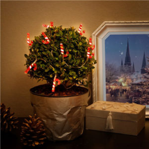 GOOBAY LED λαμπάκια με candy canes 58117, 3000K, 1.2m, 5lm, 10 LEDs | Οικιακές & Προσωπικές Συσκευές | elabstore.gr