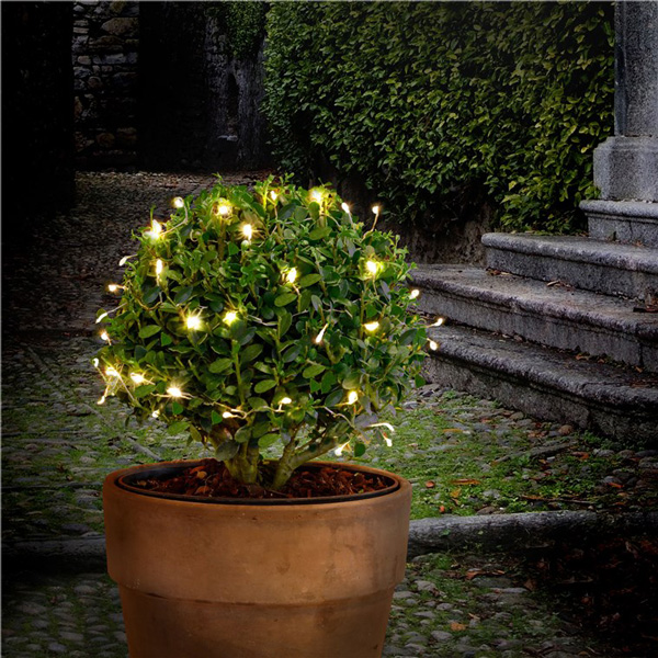 GOOBAY LED λαμπάκια 57944, 3000K, 1.65m, IP44, 50 LEDs | eLabstore.gr GOOBAY LED λαμπάκια 57944, 3000K, 1.65m, IP44, 50 LEDs | Οικιακές & Προσωπικές Συσκευές | elabstore.gr