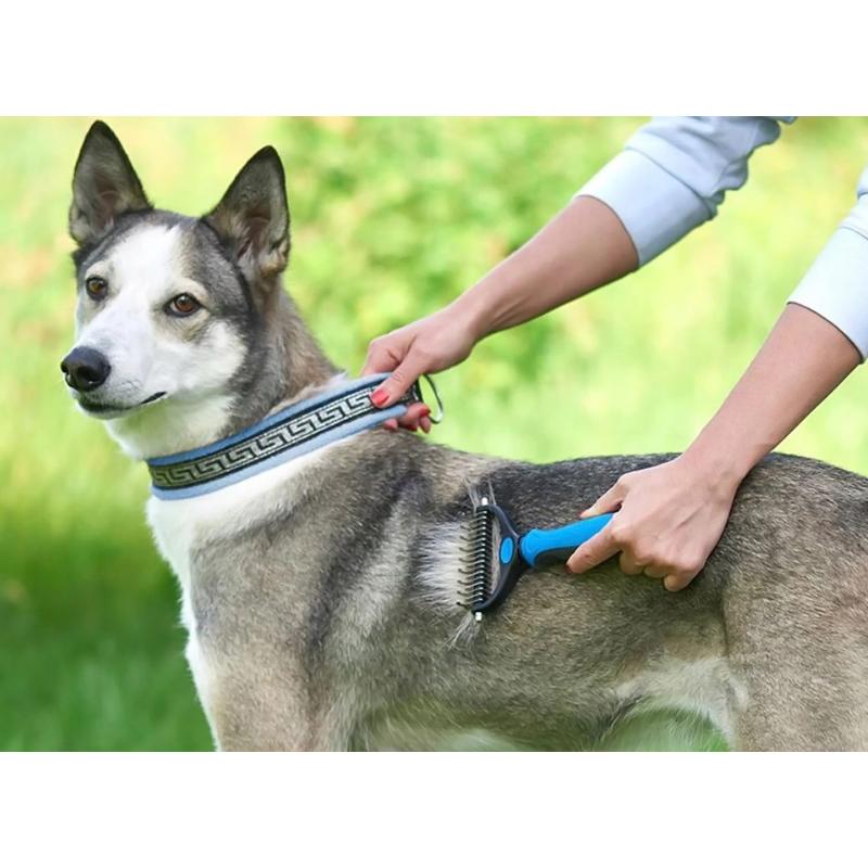 Χτένα για κατοικίδια ZW3A, 10cm, μπλε | eLabstore.gr Χτένα για κατοικίδια ZW3A, 10cm, μπλε | Οικιακές & Προσωπικές Συσκευές | elabstore.gr