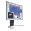 Used Monitor 190P TFT/Philips/19"/1280x1024/Silver/Black/2xDVI-D | Refurbished | elabstore.gr
