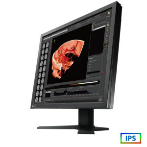 Used Monitor RS110 IPS/Eizo/19
