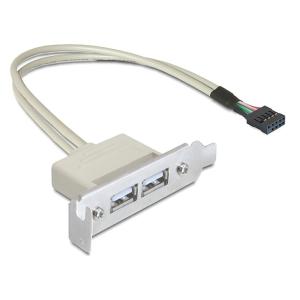 DELOCK κάρτα επέκτασης USB 9 pin σε 2x USB 2.0 83119, low profile | PC & Αναβάθμιση | elabstore.gr
