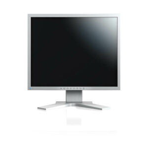 Used Monitor S1933 IPS/Eizo/19
