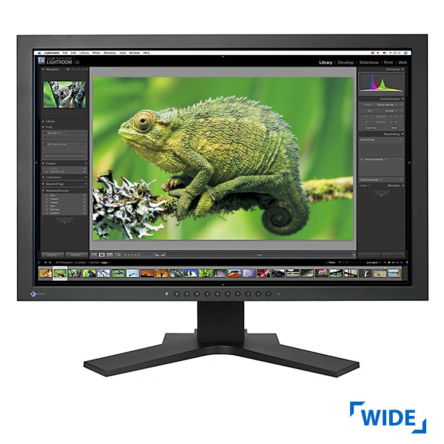 Used Monitor ColorEdge CG241W TFT/ Eizo/ 24"/ 1920x1200/ Wide/ Black/ Grade B/ 2xDVI-D & USB Hub | eLabstore.gr Used Monitor ColorEdge CG241W TFT/Eizo/24"/1920x1200/Wide/Black/Grade B/2xDVI-D & USB Hub | Refurbished | elabstore.gr