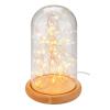 GOOBAY φωτιστικό γυάλινος θόλος με LED 60340, 2700K, USB, 50 LEDs | Φωτισμός | elabstore.gr
