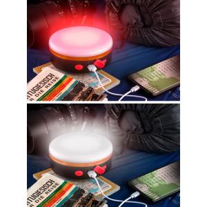 GOOBAY LED ηλιακό φωτιστικό 60344 με χειριστήριο, 220lm, 6800K, IP44 | Φωτισμός | elabstore.gr