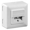 GOOBAY επιτοίχια πρίζα CAT 5e 50943, 2x RJ45, 80x80mm, λευκή | Εργαλεία | elabstore.gr