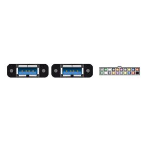 DELOCK καλώδιο USB 3.0 19 pin header (F) σε 2x USB 3.0 (F) 85244, 80cm | Καλώδια - Αντάπτορες | elabstore.gr