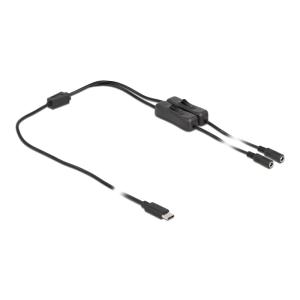 DELOCK καλώδιο USB Type-C σε 2x DC 5.5 x 2.1mm 86800, 1m, μαύρο | Καλώδια - Αντάπτορες | elabstore.gr