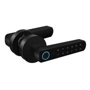 SECUKEY ηλεκτροπύρος D100-BT, συνδυασμού & fingerprint, μαύρος | Access Control | elabstore.gr