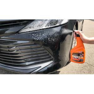 MOJE AUTO καθαριστικό αυτοκινήτων 19-054 για κατάλοιπα εντόμων, 750ml | Gadgets - Αξεσουάρ | elabstore.gr