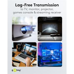 GOOBAY αντάπτορας DisplayPort 77129, 8K/144Hz, γωνιακός, μαύρος | Καλώδια - Αντάπτορες | elabstore.gr