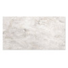 WINGRESS πλακάκι WNC-BRACIA-SILVER-GREY, 120x60cm, glossy finish, bracia silver grey, 2τμχ | Οικιακός εξοπλισμός | elabstore.gr