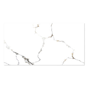 WINGRESS πλακάκι WNC-METAL-WHITE, 120x60cm, glossy finish, metal white, 2τμχ | Οικιακός εξοπλισμός | elabstore.gr